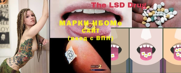 гидра Алзамай