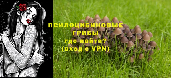 гидра Алзамай
