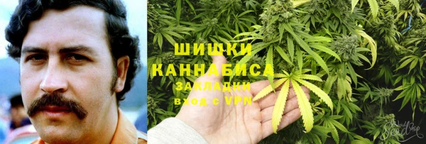 гидра Алзамай
