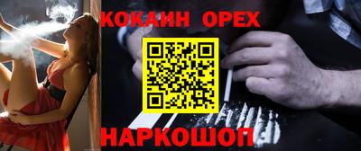 индика Дубна