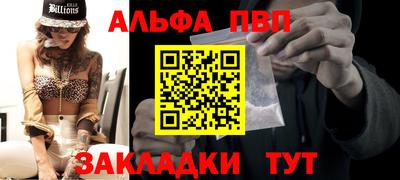 индика Дубна