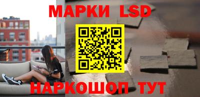 индика Дубна