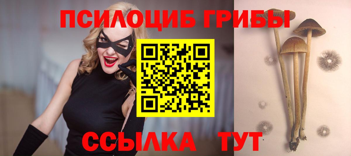 Тихвин  что такое наркотик  Вход с VPN  Галлюциногенные грибы MAGIC MUSHROOMS 